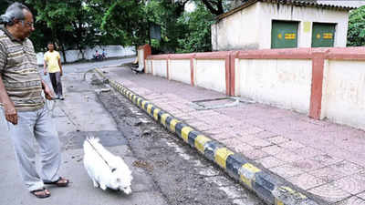 Only 29% roads in Nagpur have footpaths: VNIT