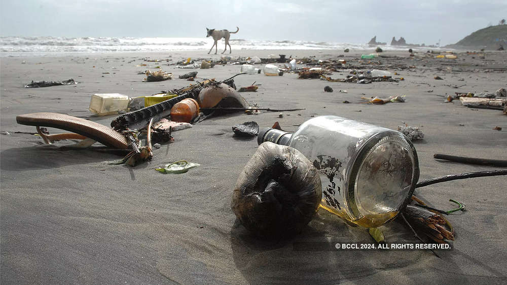 In photos: Tourists leave Goa beaches littered