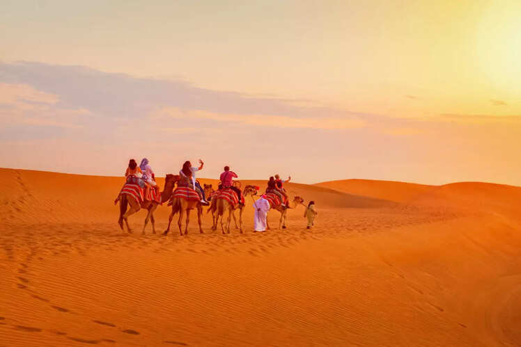 ​Camel Desert Safari