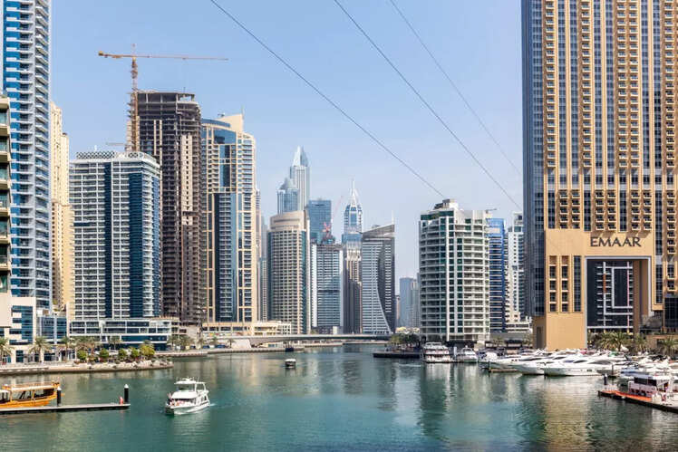 ​Zipline experience