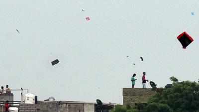 Mumbai: Animal activists, artists urge people not to fly kites on Makar Sankranti