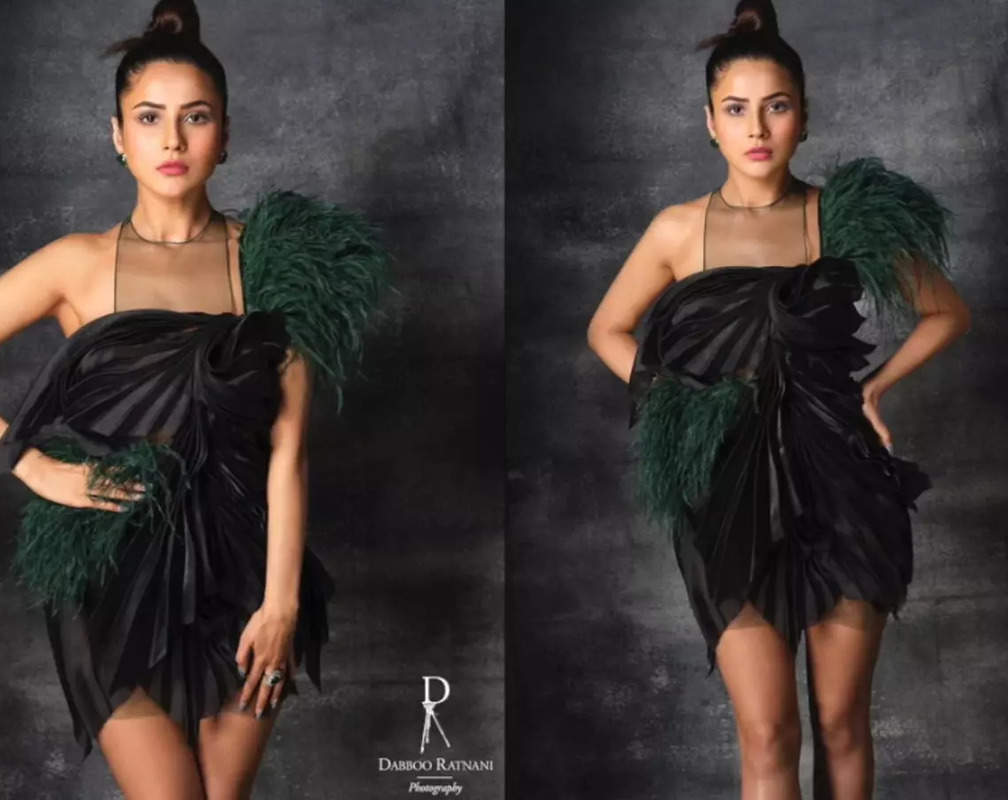 
Shehnaaz Gill oozes glamour in latest photoshoot, fans say diva is 'back again with a bang after Sidharth Shukla demise'
