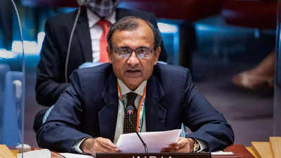 Deeply concerned about safety of 7 Indians on Houthi: India at UNSC