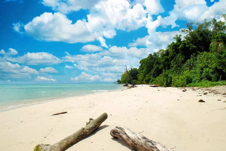 Facts that make the Andamans a fascinating destination | Times of India ...