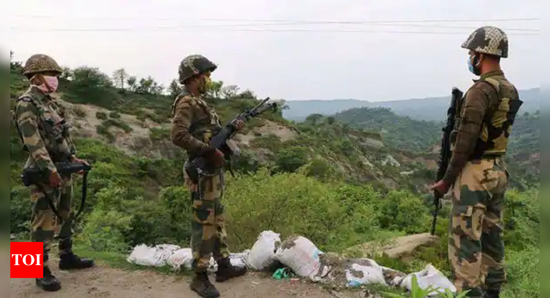 Two soldiers killed in ‘accidental firing’ along LoC in Rajouri