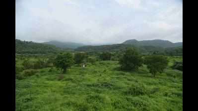 Gadchiroli, Chandrapur lost over 18 sq km forest cover in 2 years