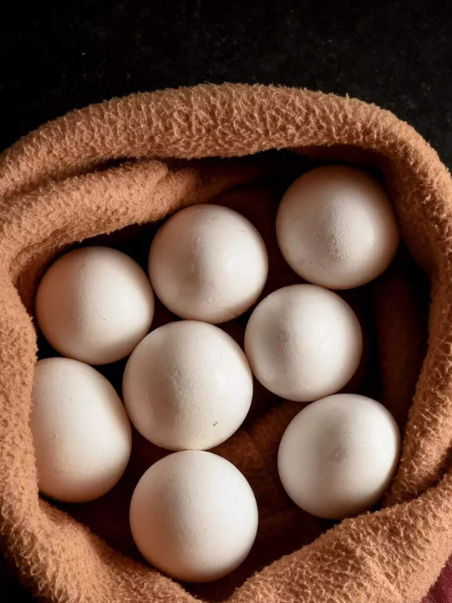 Egg yolk vs egg white Nutrition facts to know Times of India