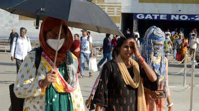 2021 was 5th warmest year in India since 1901: IMD