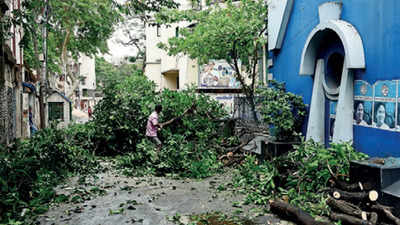 Cyclones, infra plans rob Kolkata of 30% green cover in 10 years