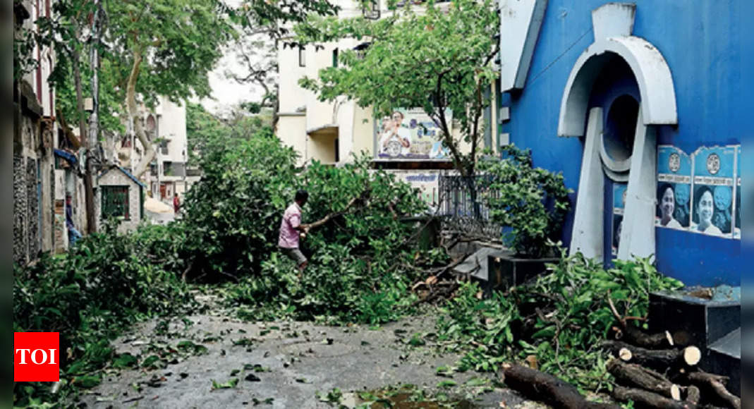 Cyclones, infra plans rob Kol of 30% green cover