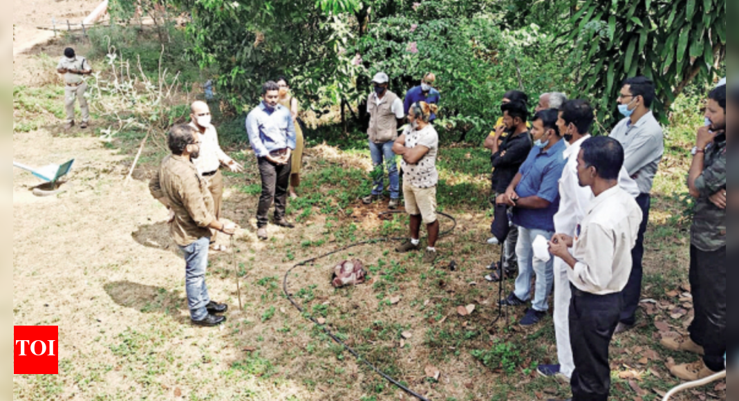 Forest Department Identifies Snake Rescuers, Trains Them | Mangaluru ...