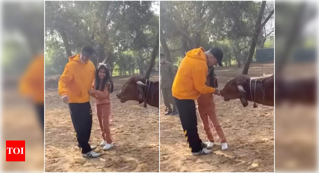 Akshay Kumar spends quality time with daughter Nitara feeding cows at Ranthambore National Park – Times of India