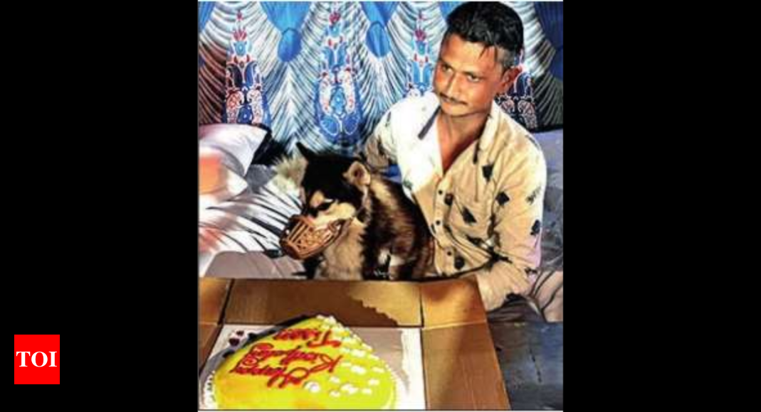 K'taka: Tile worker gifts Rs 15k mattress for his pet