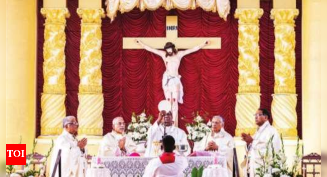 ‘Pope wants participation of laity to discuss Church reforms’ | Goa ...