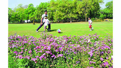 Delhi: Lodhi Garden among 4 parks in for big upgrade