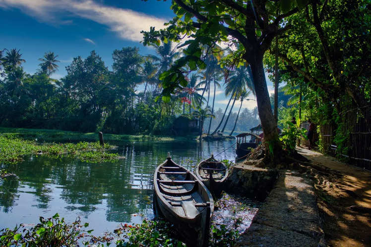 The backwaters of Kerala