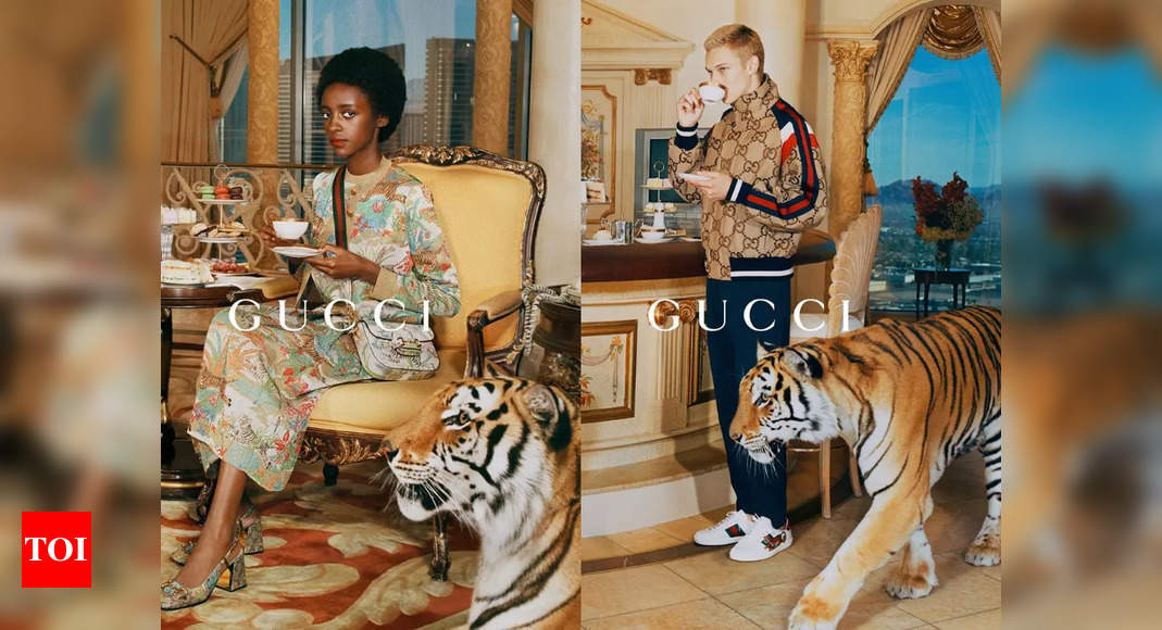 Gucci slammed for using real tigers in latest campaign - Times of India
