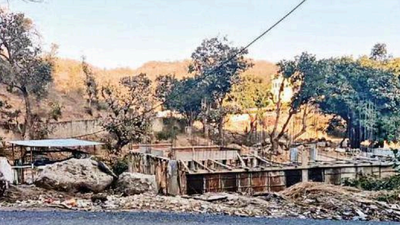 Rajasthan HC bans constructions within 1km of Kumbhalgarh reserve