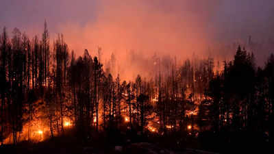 US plans  billion wildfire fight where forests meet civilization
