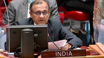 India at UN: 1993 blasts brain getting Pak’s 5-star treatment