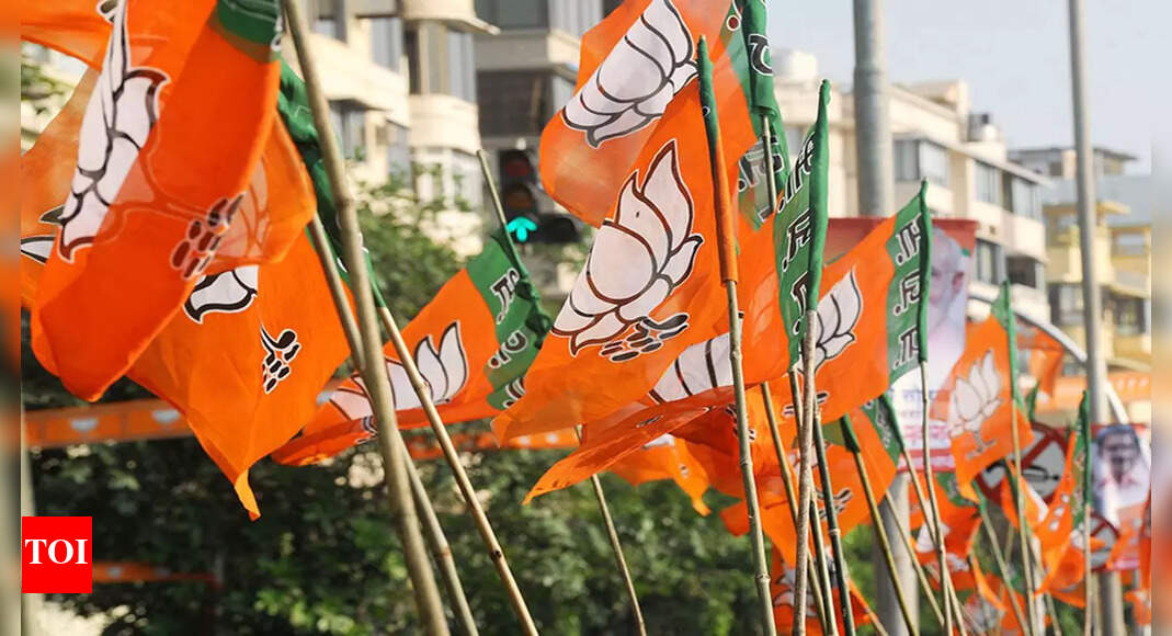 BJP, NCP claim most nagar panchayats in Maha