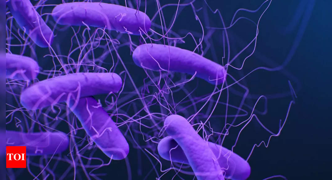 Antibiotic-resistant Superbugs Killed 1.2 Million In 2019: Study ...