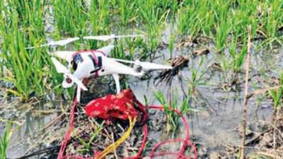 Drone intercepted near Pakistan border in Amritsar sector