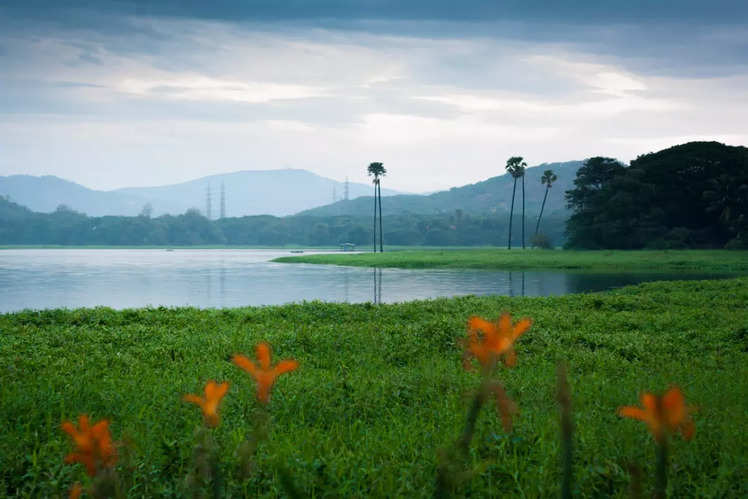 India's most beautiful lake cities | Times of India Travel