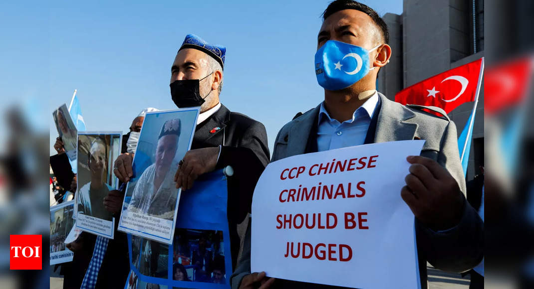 French parliament passes motion condemning 'genocide' against Uyghurs