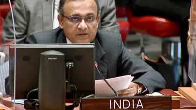 Acknowledge ‘Hinduphobia’, India urges UN