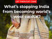 
What’s stopping India from becoming world’s wool capital?

