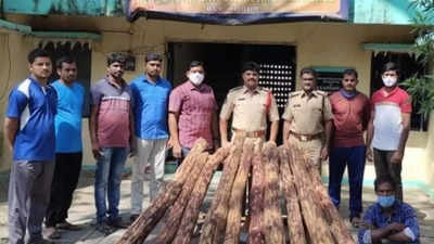 Andhra Pradesh: Task force arrest one smuggler, 11 logs seized