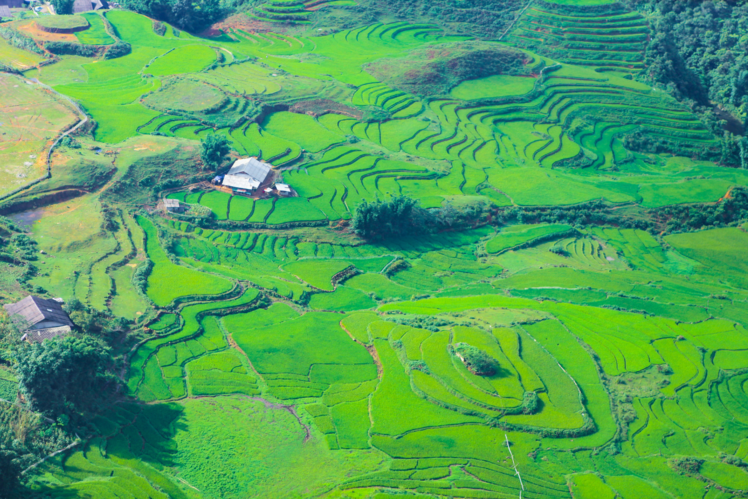 Sapa Vietnam