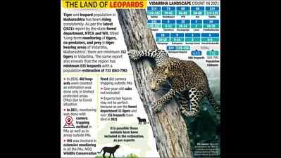 THE LAND OF LEOPARDS