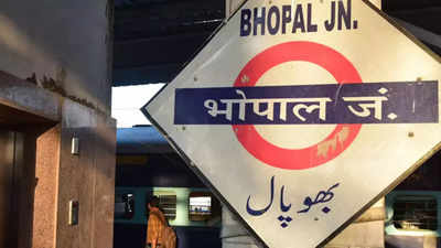 Delhi(India) Railway station put this Platform sign in Braille so