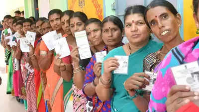 In 3 of four Pithoragarh seats, women voters outnumber men | Dehradun ...