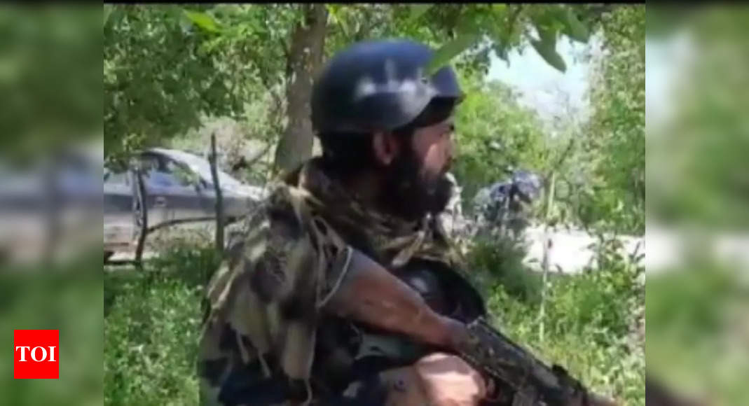 Two terrorists killed in encounter with security forces in Jammu and Kashmir’s Shopian