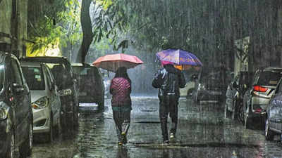 Delhi experiences its wettest January since 1950