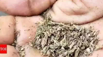 Chennai: Food delivery agent held for smuggling ganja