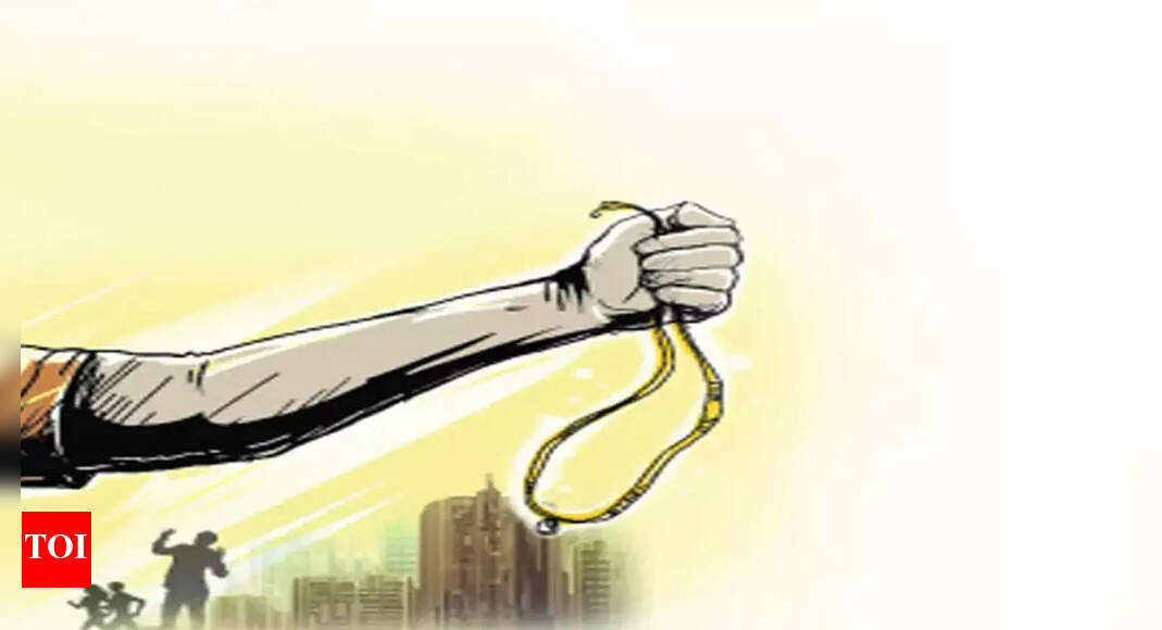 Telangana: Chain Snatcher Held In Guj, T Cops’ Inputs Prove Crucial ...