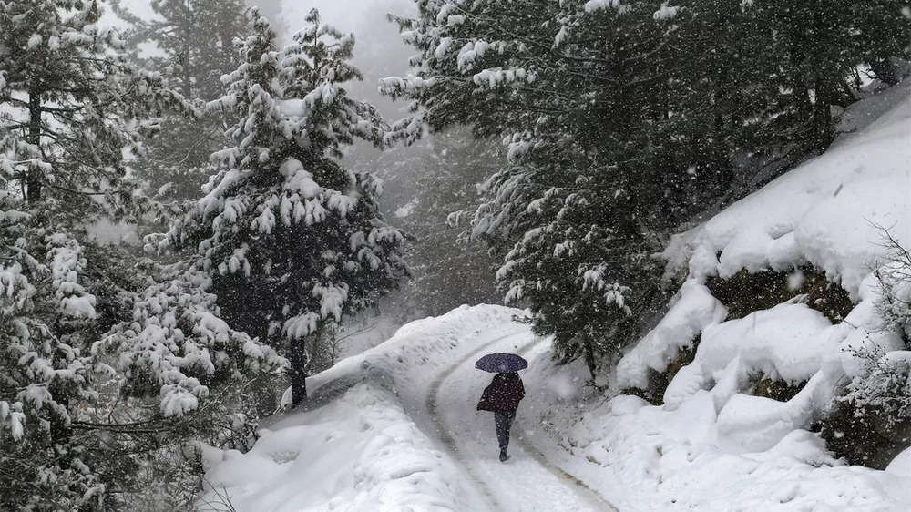 Photos of fresh snowfall at Shimla, Auli and Kashmir