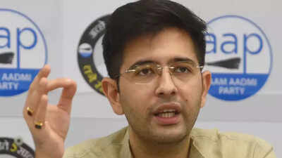 Why Gandhis did not act against Punjab CM Charanjit Singh Channi, Raghav Chadha asks