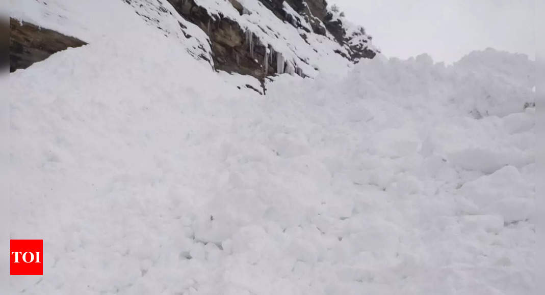 Himachal Pradesh: Avalanche hits Mooling on Manali-Leh Highway | Shimla ...