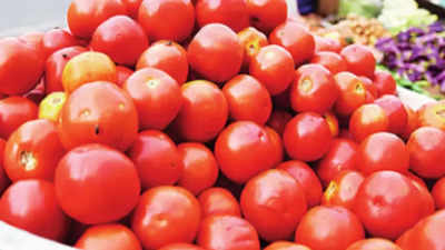 Tomato prices crash to Rs 20/kg in retail market in Chennai