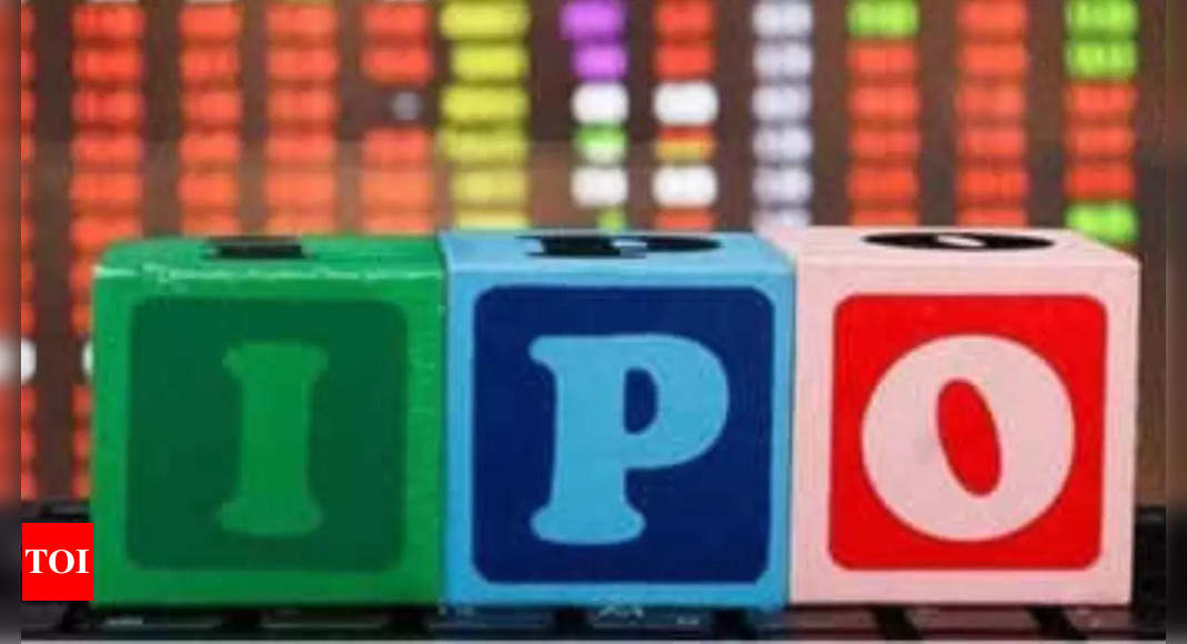 IPO listings see Rs 2 lakh crore erosion, tech startups account for half