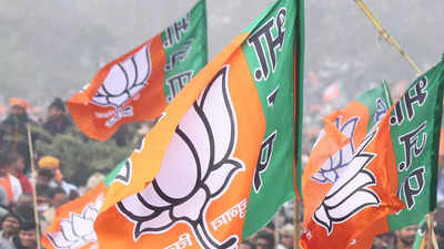 Multiple contenders, one ticket: BJP set to release 2nd list for Goa today
