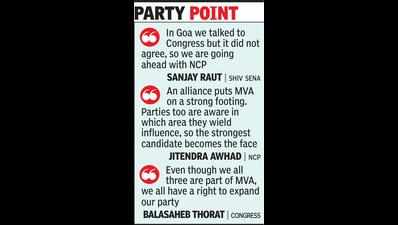 ‘Goa pattern’ for Maharashtra local body polls?