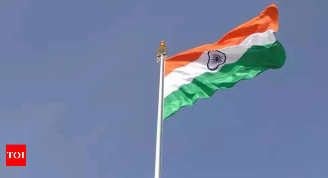 IIT-Delhi startup develops all-weather national flag, to check its ...