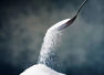 Added sugars should be avoided in children below two years