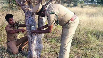 50 forest personnel deployed in Tirupur after leopard scare in village
